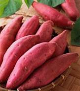 Thêm vài cách giải độc cơ thể, chống táo bón